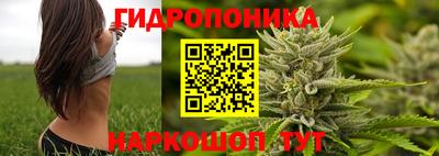 индика Туймазы