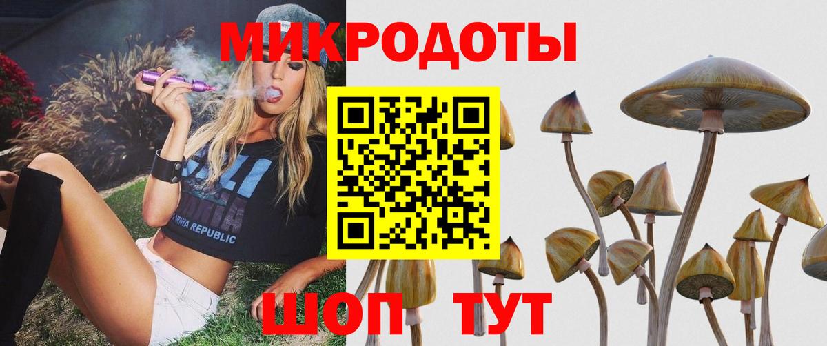 Надым  Псилоцибиновые грибы мухоморы  Вход с VPN 