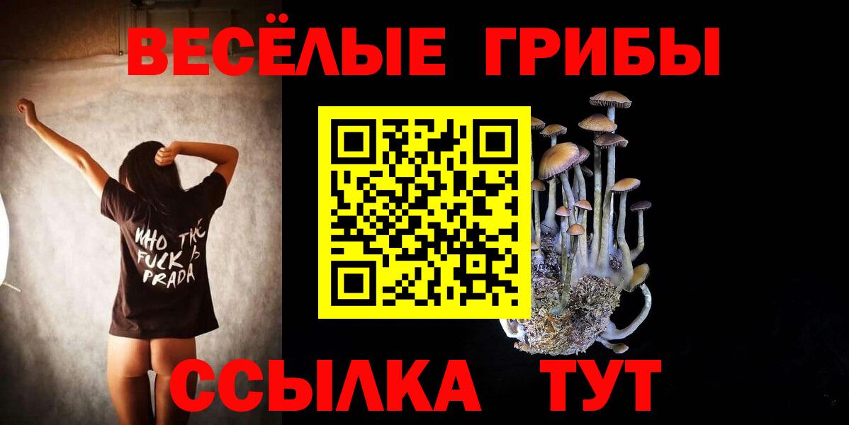 Галлюциногенные грибы мицелий Надым